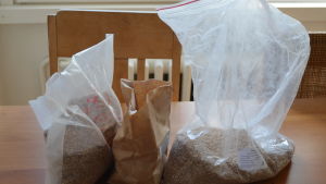 För att brygga öl krävs malt. Från vänster till höger: karamellmalt, mörk kornmalt och vetemalt. Tre olika maltsorter.