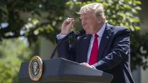 Donald Trump formar en smal springa mellan tummen och pekfingret för att visa hur liten effekten av Parisavtalet skulle vara för miljön.