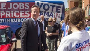 David Camerons politiska framtid står på spel i folkomröstningen. Toryledaren David Cameron vil valtillställning för bremain