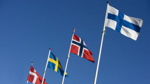 Vilken flagga skulle bli aktuell i en Nordisk förbundsstat? Danmarks, Sveriges, Norges och Finlands flagga i rad.