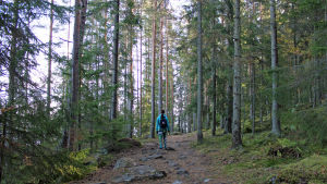 Nainen metsäpolulla takaa