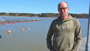 Skarvarna sitter ofta på stenar i vattnet bakom Niclas Mattssons rygg. Niclas Mattsson.