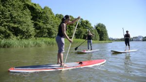 Renare vatten i Tölöviken har gett fler möjligheter för rekretion och företagsamhet i kärncentrum. Stand up paddling i Tölöviken.