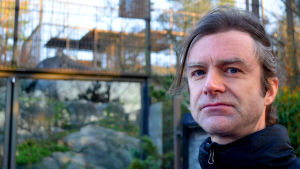 Gustaf Samelius är expert på snöleoparden. Gustaf Samelius är expert på snöleoparden.