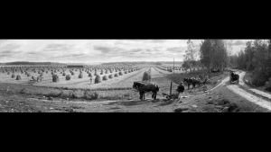 I. K. Inhan kuvassa Mustialan maanviljelysopiston pelto vuonna 1899. Inha oli mestarillinen panoraamakuvien tekijä. I. K. Inhan valokuvassa Mustialan maanviljelysopiston pelto vuonna 1899
