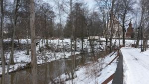 Ingåborna vill att det tas bort sly längs med ån som rinner genom centrum. Ingå å.