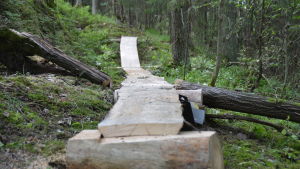 Träspångarna går bland annat över trädens rötter så att de inte ska skadas. En spång för stiglöpning och terrängcykling längs en ny bana i Fiskars.
