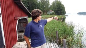 Det finns gott om saker att iaktta i skärgården. Havsörnar och fisk. i Kabböle