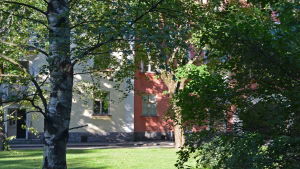 Det finns många stora träd på gården. Gården mellan sammattivägen, Anjalavägen och Kangasalavägen.