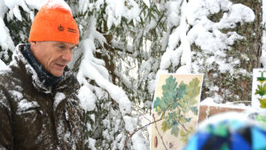 Stefan Sundqvist berättar om ädelträd i Finland. Rådgivare Stefan Sundqvist berättar om ädelträd i Finland.