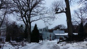 Åbo universitets botaniska trädgård på Runsala. Åbo universitets botaniska trädgård på Runsala i snöskrud.