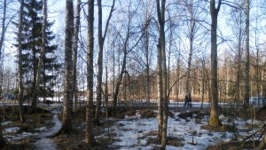 Gamla hamn. Den utvidgade begravningsplatsen skall sträcka sig ända ut till Strandvägen vid Gamla hamn