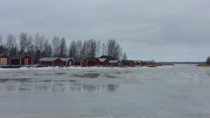 Fiskehamnen i Malax. Vy över fiskehamnen i Malax. Vattnet är isbelagt med små röda stugor vid strandkanten.