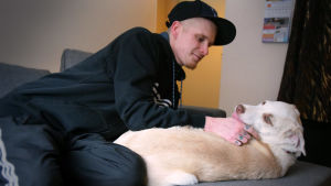 Hunden Sansa fick Alex från ett hittedjurshem. Nu tar de hand om varandra. Alex Granqvist ligger i sin soffa och krafsar sin hund.