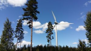 Vindmöllor är bra men inte alltid så vackra i landskapet. Vindkraftverk i en tallskog.