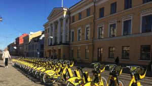 I centrala Hlsingfors är citycyklarna redan ett etablerat inslag.i gatubilden. Stadens gula lånecyklar på Senatstorget.