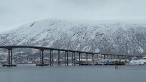 Skolelever i Troms och Finnmark har nuförtiden rätt att läsa kvänska några timmar per vecka. Hög bro mellan Tromsö och fastlandet, snötäckta fjäll i bakgrunden.