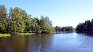 Lekparken ligger invid Svartån. Lummiga träd vid Svartån i Raseborg.