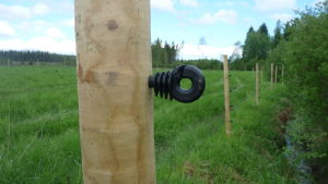 Bara två gårdar som finns på vargreviret har byggt rovdjursstängsel. En tapp med en ögla fastspikad i en påle.