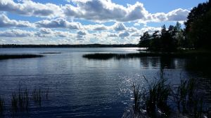 Klart vatten i Littois träsk en månad efter den kemikaliska reningen i maj 2017.