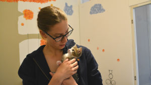Matilda Ekholm gosar med en av de många kattungarna. Kvinna och katt tittar på varandra