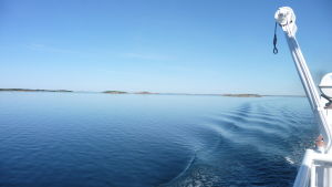 M/S Baldur tar varje dag ut dig på en tur och bjuder på slow-tv från Skärgårdshavets yttersta vidder. Hav från färja