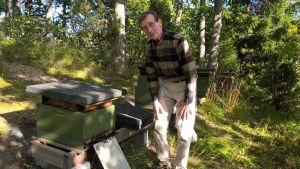Bina tycker inte om värmen, säger Aimo Nurminen. Aimo Nurminen vid en bikupa.