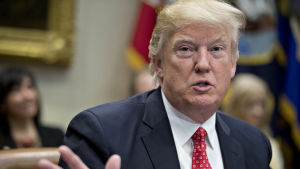 Trump överväger nya metoder för att ytterligare skärpa de rigorösa bakgrundskontrollerna för asylsökande Trump överväger nya metoder för att ytterligare skärpa de rigorösa bakgrundskontrollerna för asylsökande