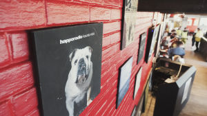 Punaiseksi maalattu tiiliseinä jolla roikkuu levynkansia, etualalla musta levy jossa komeilee valkoinen bulldoggi ja teksti Happoradio, kaunis minä.