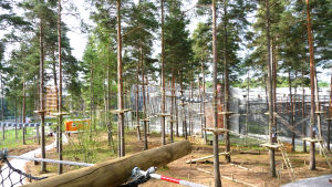En äventyrspark i stil med Åbos Flowpark har efterlysts. Klätterställningar i en skog.