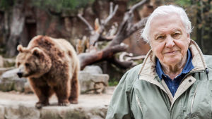 Brittiläisessä dokumenttisarjassa Sir David Attenborough tutustuu lajeihin, jotka hämmästyttävät ja ihastuttavat erikoisuudellaan.