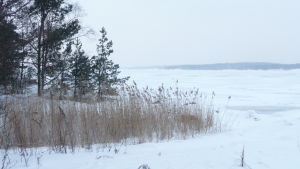 Det kan snöa mycket även om havet är fruset. En snöig och isig vinter i skärgården.