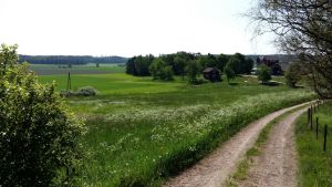Nämnden anser det vara viktigt att man inte bygger för mycket utanför detaljplanerat område eftersom staden då har svårare att styra markanvändningen genom planering. Åkrarna vid Gundby gård i Kimito lyser gröna.