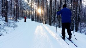 Skidare skidar i skogen