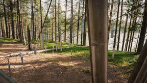 När man drar i linnupers-instrumentets rep klingar skivorna. Det är lätt för vem som helst att åstadkomma ljud, men med ihärdig övning kan man också spela betydligt mångsidigare. Suurikokoinen soitin, jossa pylväisiin kiinnitetty köysiä ja köysiin metallilevyjä, nimeltään linnupers, Soivassa Metsässä Suomussalmella.