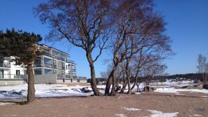 Nu är det dags att bygga promenadstråk på Fabriksudden, medger stadsstyrelsen. Fabriksudden i Hangö med de nybyggda svartvita husen.