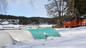 Här står ekorna på rad vid Solliden i väntan på sommaren. Solliden camping vid Norrbystranden vintertid.
