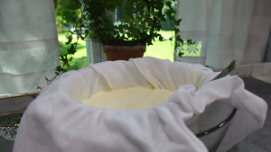 Hemlagad yoghurt rinner av i sil med silduk.
