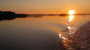 Solnedgången kan lura betraktaren. Solnedgång i Åbolands skärgård med solen glittrande på vågsvall.
