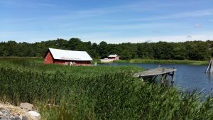 I Houtskär regnar det ofta mindre än på fastlandet vilket kan öka risken för skogsbrand. Båthus med texten Berghamn på taket och en brygga i vassen.