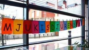 För första gången i Borgå stadsbibliotek. Mjukisdjurens natt på Brogå bibliotek 20.04