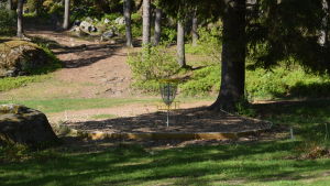 Tomas Söderlund berättar att han tycker om att ströva ute i naturen med sin familj. Discgolf är en idrottsgren som i bästa fall erbjuder vackra naturupplevelser och fågelsång i kombination med motion och adrenalinkickar. Bilden är tagen i Ekenäs. Discgolf i Västerby i Ekenäs.
