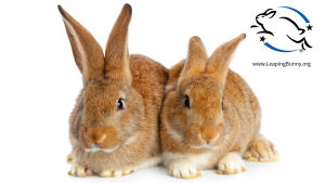En glad skuttande kanin visar att produkten inte ska vara djurtestad. Två bruna kaniner som sitter tätt intill varandra. Uppe i hörnet syns märket för "Leaping bunny". En tecknad kanin som tar ett stort skutt.