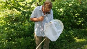 Ilpo Mannerkoski tittar på sällsynta insekter. Man står i park med förstoringsglas och tittar på insekter och växter i en håv