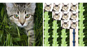 vasemmalla kuva kissasta, oikealla oppivan algoritmin matalamman tason käsitys kuvan sisällöstä. missä lähinnä tietoa kuvassa esiintyvistä ääriviivoista.