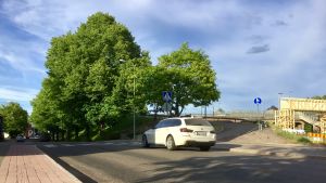 Bron uppe till höger. Brobanken mellan gatan och bron kommer att försvinna. Också den nuvarande rampen för fotgängare och cyklister försvinner med brobanken. En gata med lövträd vid vägrenen invid en brobank. En vit bil kör på gatan. Bron syns till höger. Sommar,