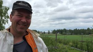 Christian Storm har några bisamhällen intill en hallonodling. Biodlare Christian Storm bredvid en hallonodling.