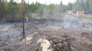 Som mest fanns 21 enheter på platsen och försökte släcka elden. Även gränsbevakningens helikopter deltog i släckningsarbetet. släckt skogsbrand med brandbilar och brandmän i bakgrunden