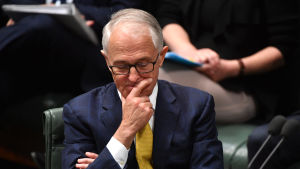 Premiärminister Malcolm Turnbull avgick frivilligt före ordförandevalet Australiska medier tror att premiärminister Malcolm Turnbull avgår frivilligt om han utmanas i en ny omröstning om det Liberala partiets och regeringens ledarskap