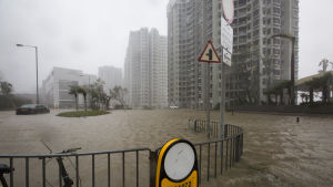 Många bostadsområden översvämmades i Hongkong men byggnaderna har byggts med tanke på stormar och orkaner som årligen drabbar staden Många bostadsområden översvämmades i Hongkong men byggnaderna har byggts med tanke på stormar och orkaner som årligen drabbar staden